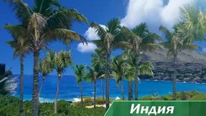 Путешествие в Индию