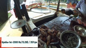 ШРИ-ЛАНКА | Обзор Рыбный рынок в Галле | FISH MARKET GALLE | цены на морепродукты