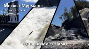 Нерест лосося Водопады Мурманской области Долина Славы