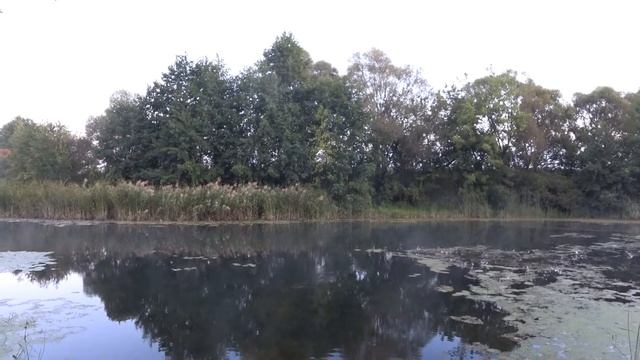 Life In Russia. Russian Village. Fishing In Russia. Fishing - No Fish...