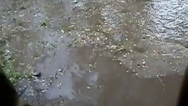 Ливень