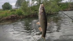 ловля на на мормышинговый спиннинг Dayo Pristizh