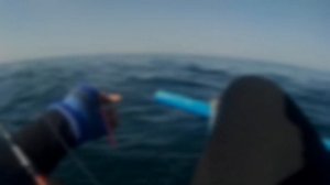 Viper Perseus + Ryobi Zauber Pro 3000 VS Giant Trevally