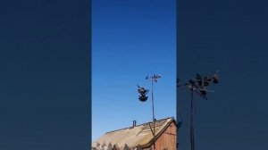 Голуби Шахтерска Мильшин Виктор 18.10.22 перелёт