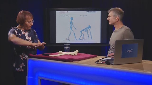 Menschenaffen im Allgäu entdeckt | Science Talk mit Prof. Dr. Madelaine Böhme | CTV Spezial смотреть онлайн