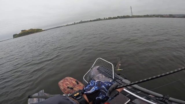 Глубоководный твичинг , 01.10.2022 гЩука весом 3,6 кг, , но она оказалась больной . смотреть онлайн