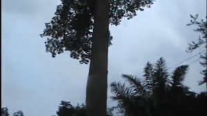 ochuchu afor amokwe 2013 part 3
