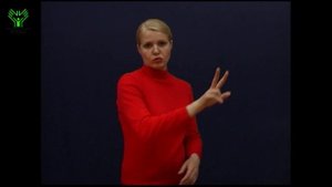 (011) На всякий случай. Словарь лексики русского жестового языка