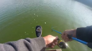 Shimano Nexave FI Spinning Reel Review & Field Test