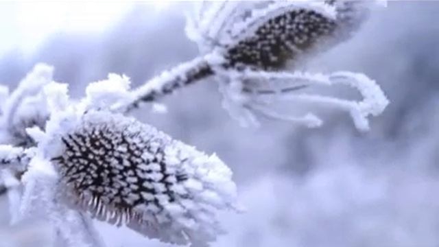 Федор Тютчев, Чародейкою зимою…, муз. и исп. #СамуилФрумович