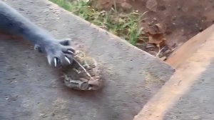 НЕОБЫЧНАЯ ПОДБОРКА МЕМОВ V239