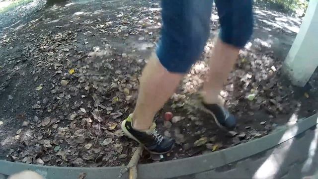 Трудовая бригада парк "Питомник" - август 2016. смотреть онлайн