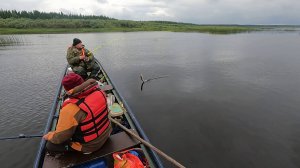 СЫКТЫВКАРСКАЯ РЫБАЛКА НА ПЕЧОРЕ \ Часть 2 \ ПОГОДА ДРЯНЬ, А УЛОВ РАСТЁТ