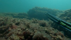 Подводная охота с арбалетом ARES 75 SALVIMAR