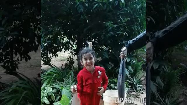 29 de enero de 2018 смотреть онлайн