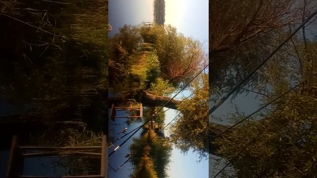 свежие новости с Днестра / 9 июля / Маяки смотреть онлайн