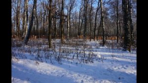 Новомосковск 2015