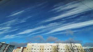 Облака белогривые