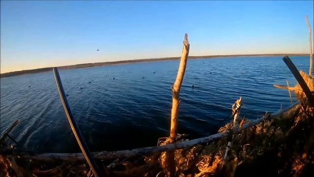 Охота на уток. Весна 2017. смотреть онлайн