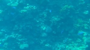 Батискаф Шарм эль Шейх Египет