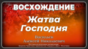 Жатва Господня | Васильев Алексей Николаевич. Запись за 05.10.2024.