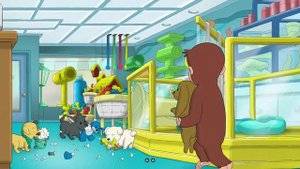 Curious George - 361 - Curious George and the Lost Puppy (Learn English Language with subtitles)