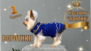 Мастер-класс по вязанию крючком костюма для собак «Жаклин»: стиль и уют своими руками