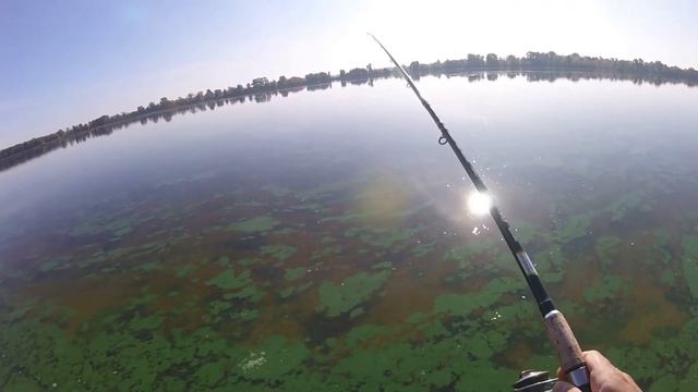 Осенняя плотва на Днепре/Ловля белой рыбы в сентябре/Видеоотчет сентябрь 2019 смотреть онлайн