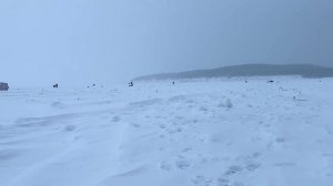 Крабалка на Сахалине / Рыбалка Краб #краб