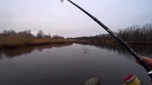 Окунь осенью на спиннинг.