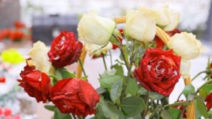 Паломничество зависимых в Рыльский Никольский монастырь к старцу Ипполиту