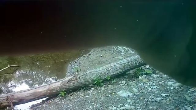 Рыбалка!Подкаменка)