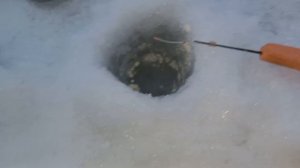 Показываю как найти уловистое место для зимней рыбалки. Как найти яму с рыбой зимой. Рыбачу на тест