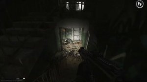 Tarkov | Будни | Weekday