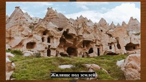 Какие бывают жилища