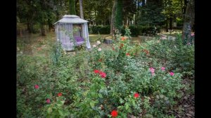 Сочи Санаторий Металлург часть 2