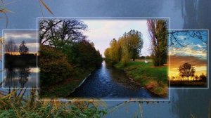 Феноменальный мир