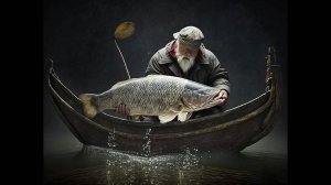 Fisher Online# немного рыбалки