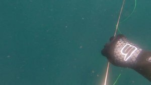 ПОДВОДНАЯ ОХОТА С МАЛЕНЬКОЙ ЗАДЕРЖКОЙ ДЫХАНИЯ.