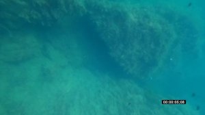 Трудная рыба. Подводная охота в Крыму.