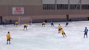 «Tellus Bandy»-«Djurgårdens IF» 5 Okt Supercupen-Allsvenska-2024