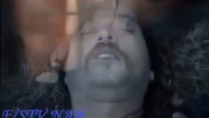 Клипи садокат