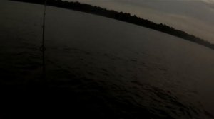 Стикбейт Shimano Drift Swimmer и донный окунь.