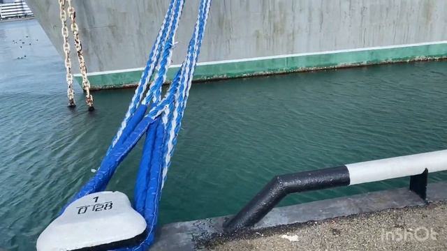 Нарезка видео из жизни в Новороссийске! #переезднаюг #купитьдомнаюге