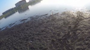 Daiwa Morethan Branzino 97 LML AGS vs CATFISH