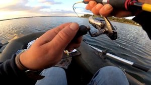 ОГРОМНЫЕ ОКУНИ