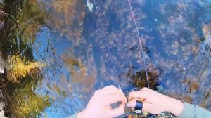 Tsurinoya Dark Wolf Ultra KF50S Rosewood Dark Light 1-8g