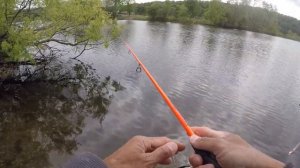 Arbogast Hula Popper Topwater Fishing for Largemouth Bass Around Shallow Grass