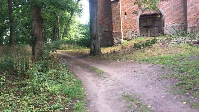 Поездка в Домново 2020