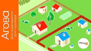 Социальная сеть для СНТ – это не баловство – это прямой путь к благоустройству и эффективному управл